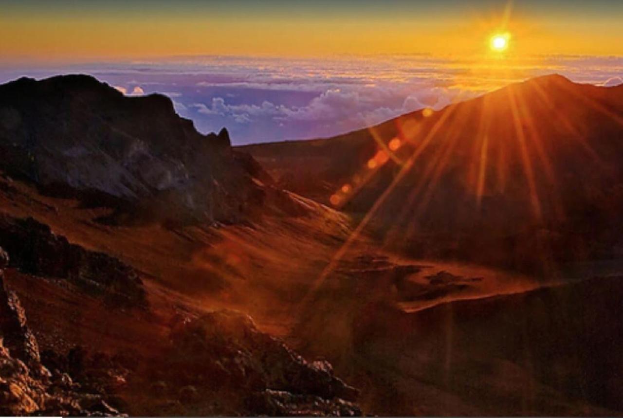 ワイレアTropical Maui Kamaole B-Bldgアパートメント エクステリア 写真