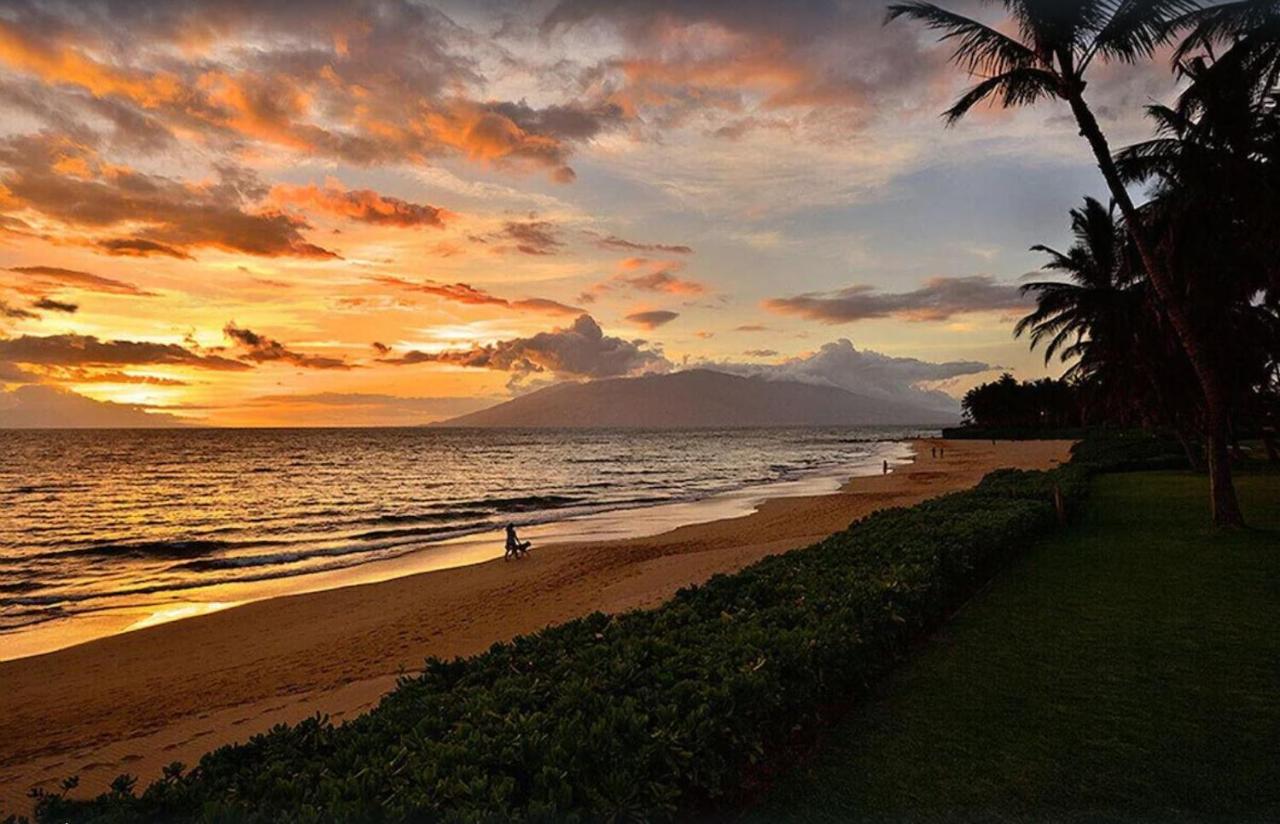 ワイレアTropical Maui Kamaole B-Bldgアパートメント エクステリア 写真